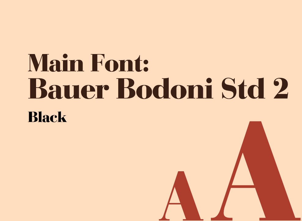 font-used-main