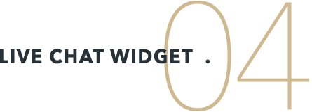 live-chat-widget-3